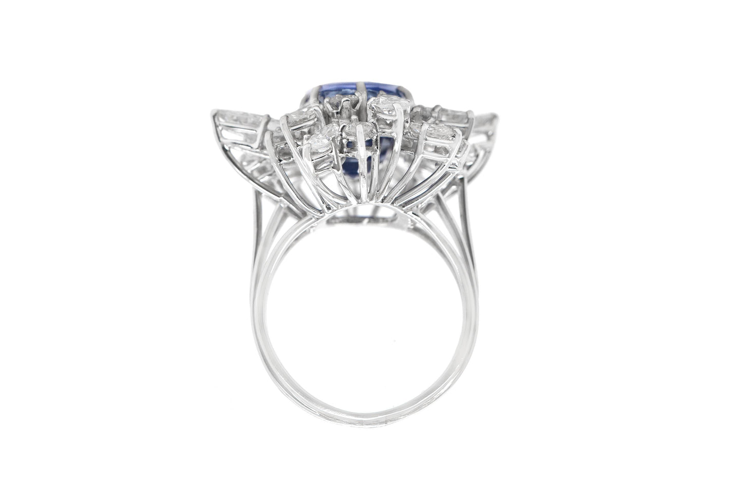 10.59 Carat Ceylon Sapphire and 5.00 Carat Diamond Cluster Ring