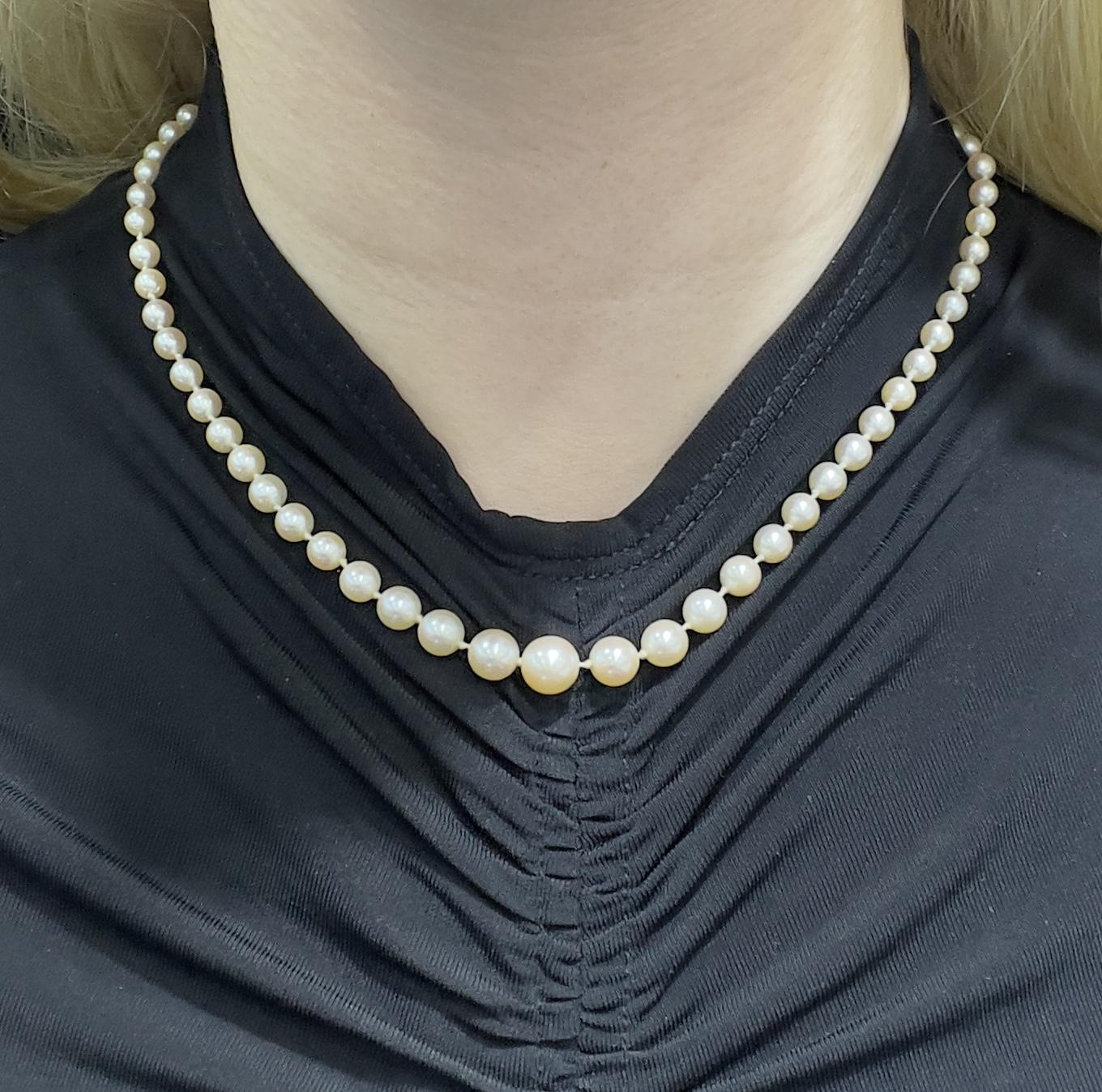 Antique Edwardian 1900s Graduating Pearl Strand Necklace