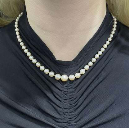 Antique Edwardian 1900s Graduating Pearl Strand Necklace