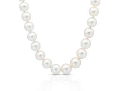South Sea Pearl Necklace