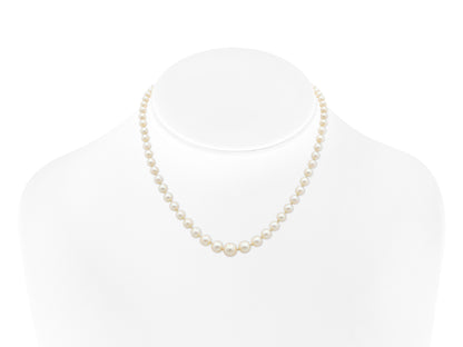 Antique Edwardian 1900s Graduating Pearl Strand Necklace