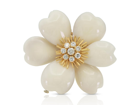 Van Cleef & Arpels White Coral Rose de Noel Brooch
