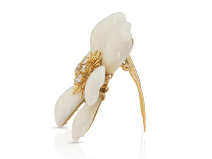 Van Cleef & Arpels White Coral Rose de Noel Brooch